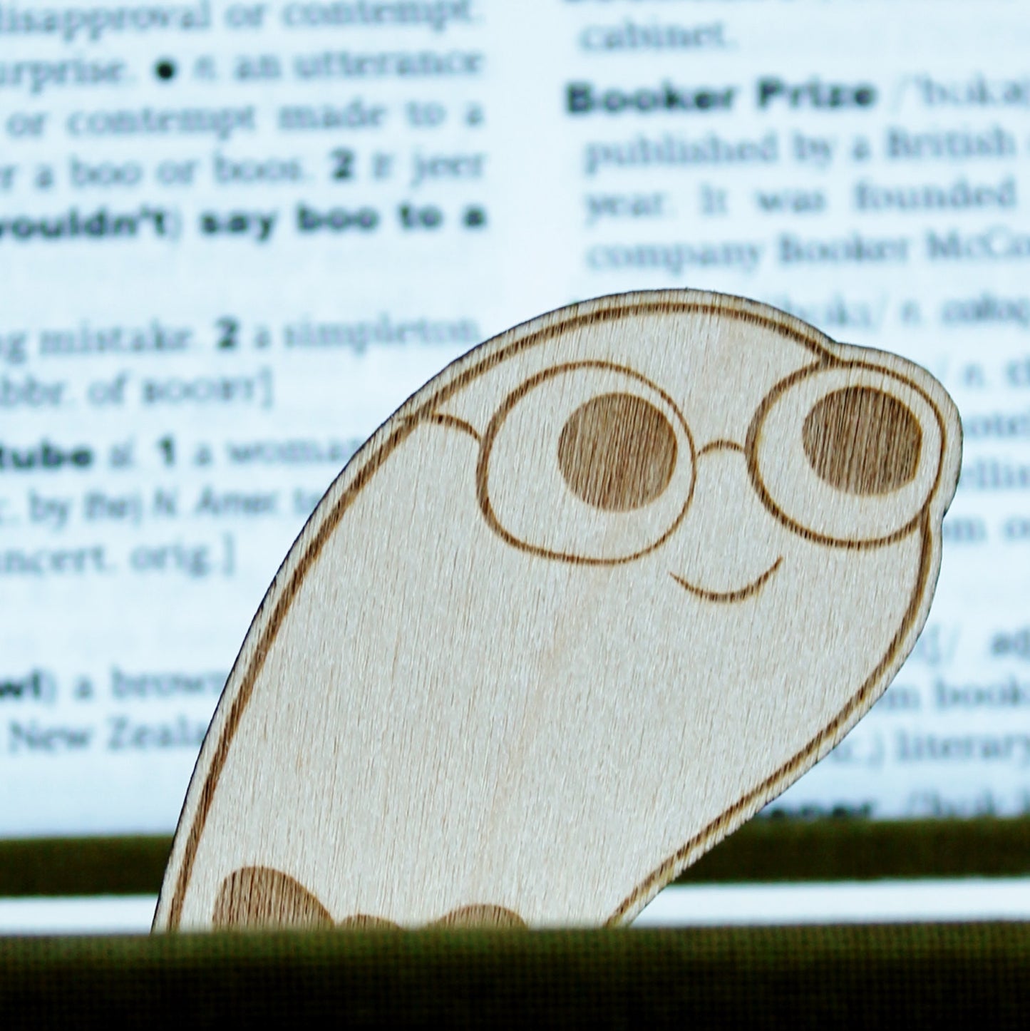 Bookworm Worm Wooden Bookmark