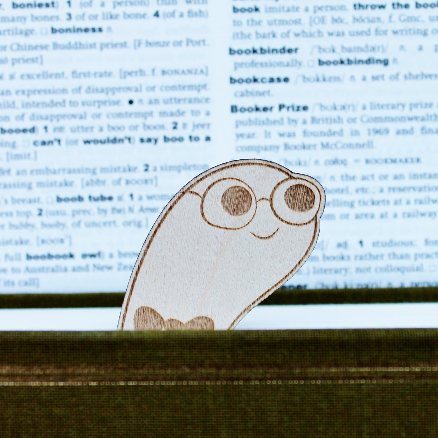 Bookworm Worm Wooden Bookmark