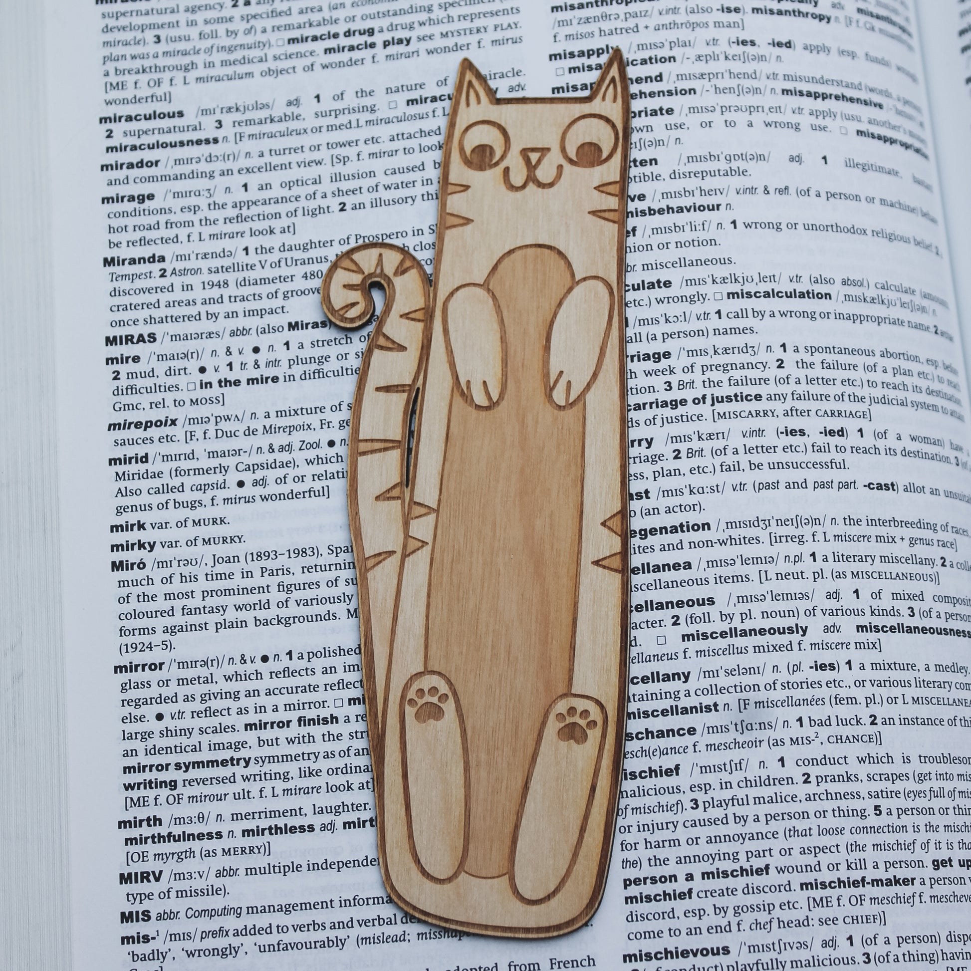 Cat-shaped wooden bookmark on an open book