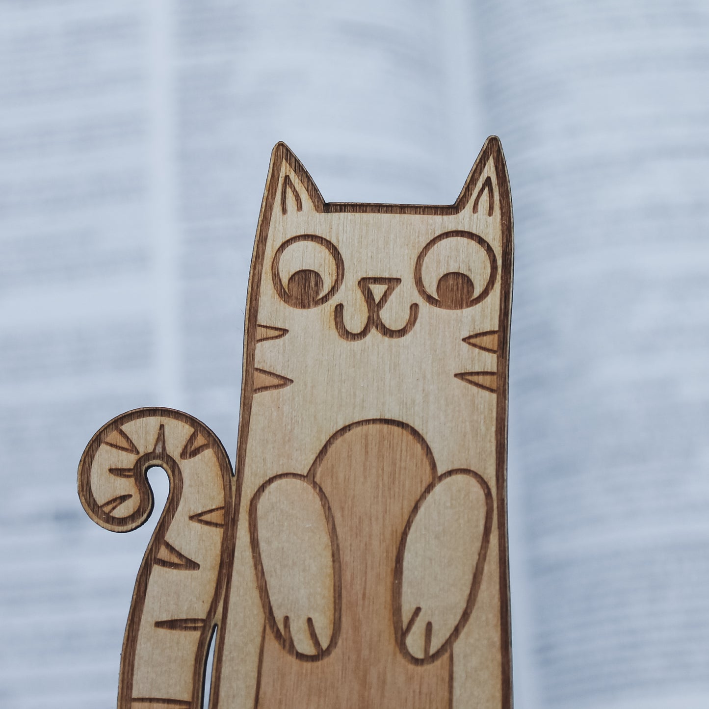 Wooden cat bookmark on a book writing background