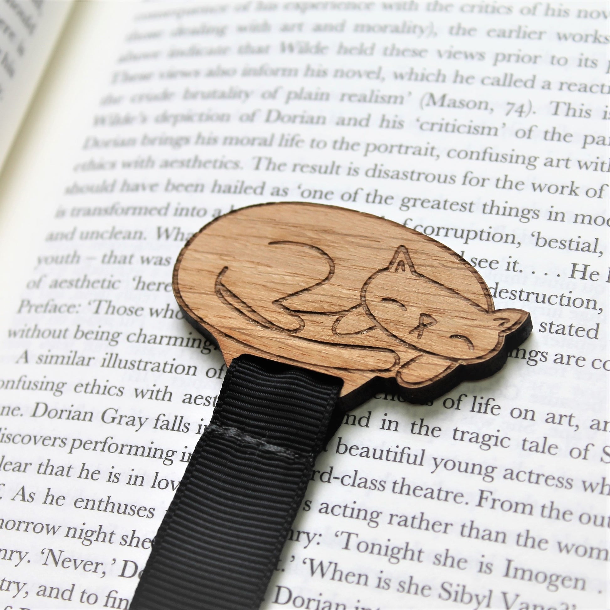 Cute sleepy cat bookmark keeping place in a book. perfect for a cat lover